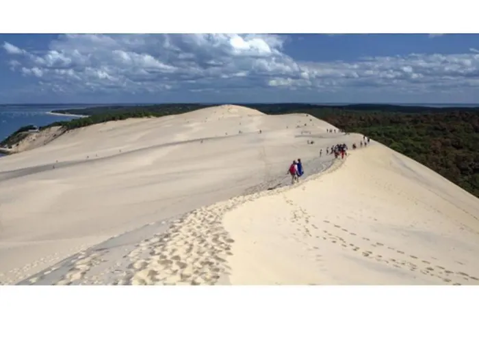Le Petit Paradis Iode Gujan-Mestras